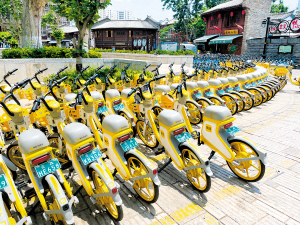 73111652123935916 73111652123935916