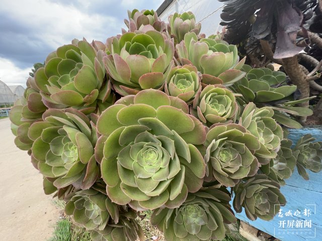 20220512220044KA5VTV