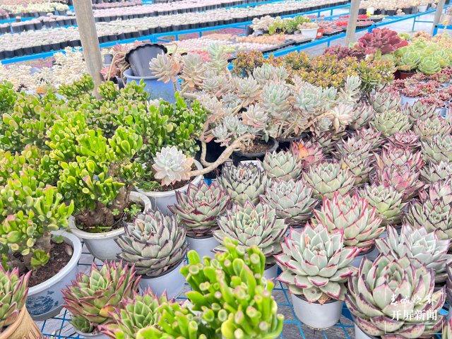 202205122200458RWP2L