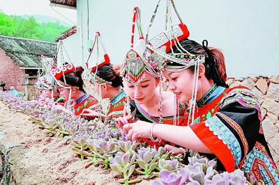 浙西南革命老区：红绿融合绘共富新景