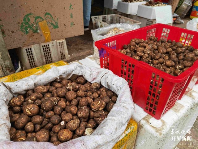 气候冷热不均，曲靖“野生菌”量少价高 (13689115)-20220515200108.jpg