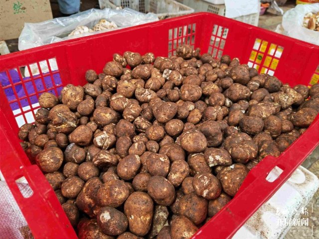 气候冷热不均，曲靖“野生菌”量少价高 (13689120)-20220515200113.jpg