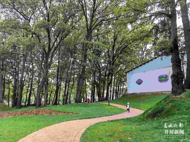 城市中心古树成林！262棵古树让曲靖这处公园成了当季最火打卡地