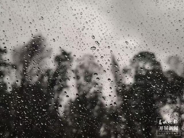 下雨（马雯 摄）