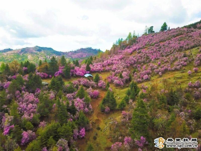 9d5940f2-e098-4ad0-9544-6f5a6f6cb410_batchwm