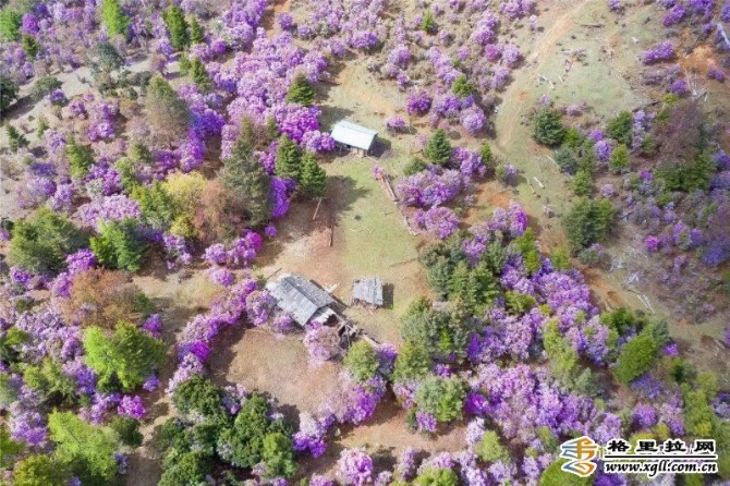 72afff9f-8c79-4209-b86e-949cf4b611c5_batchwm