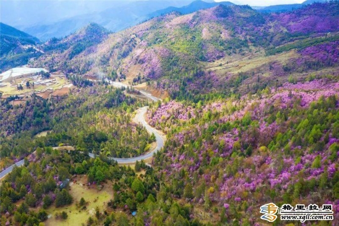 24603b86-75db-44c4-996f-6b16a568ee6c_batchwm