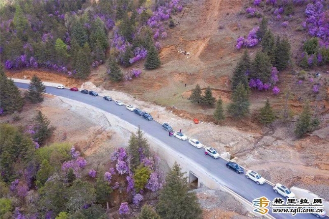 fa22725c-f3fd-4ced-80eb-37c96f554d56_batchwm