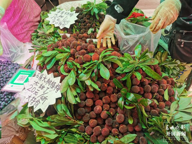 蓝莓低至30元/公斤!昆明时令水果大量上市(开屏新闻记者 李赛 摄)