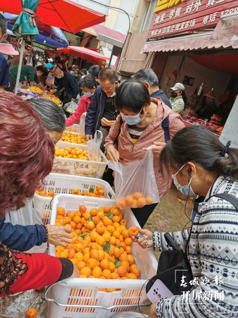 蓝莓低至30元/公斤!昆明时令水果大量上市(开屏新闻记者 李赛 摄)