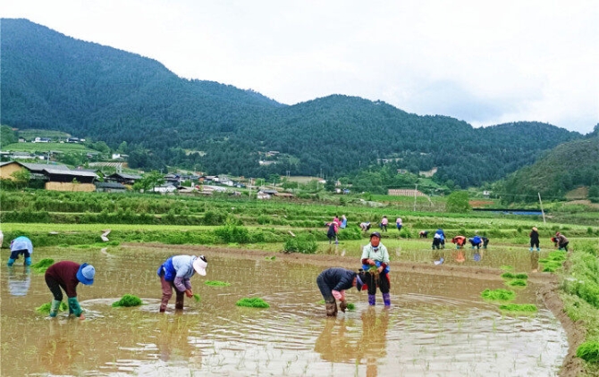 4c56b659-e7d7-4069-a604-2137a9649dda 4c56b659-e7d7-4069-a604-2137a9649dda