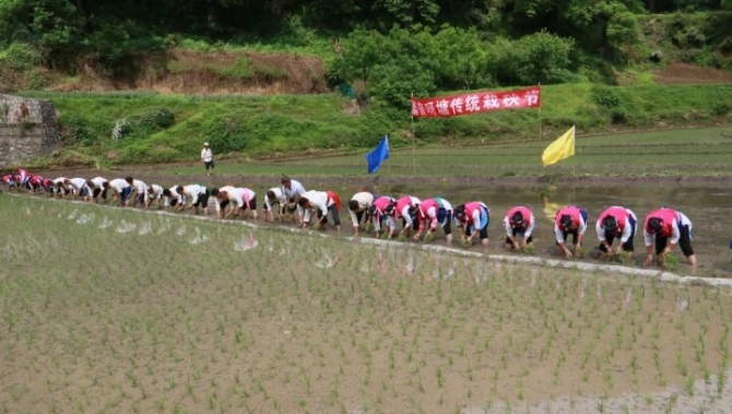 22b8e0c1-cb70-4ac9-ba33-51a06e794859 22b8e0c1-cb70-4ac9-ba33-51a06e794859