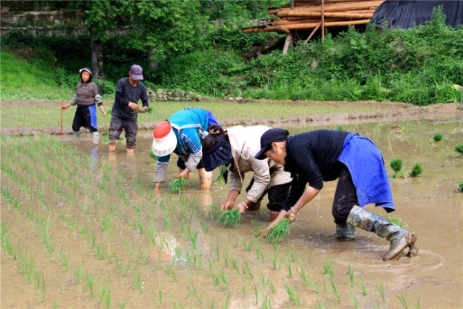 45ba3d97-e9ea-4d32-92a3-3a3203e7ec9c 45ba3d97-e9ea-4d32-92a3-3a3203e7ec9c