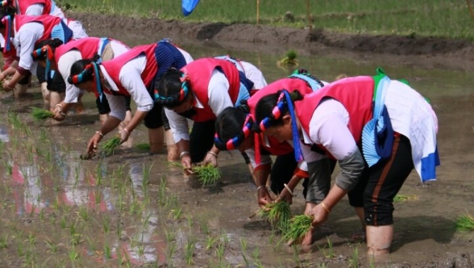 53056300-ce80-494b-963e-281ad5e762c4 53056300-ce80-494b-963e-281ad5e762c4