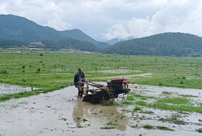 a2521988-ceb2-4ef1-8842-608c8244f3fc a2521988-ceb2-4ef1-8842-608c8244f3fc