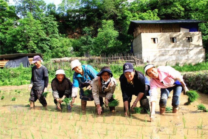 e2629d50-093f-4f89-a55a-4b9035ea05af e2629d50-093f-4f89-a55a-4b9035ea05af