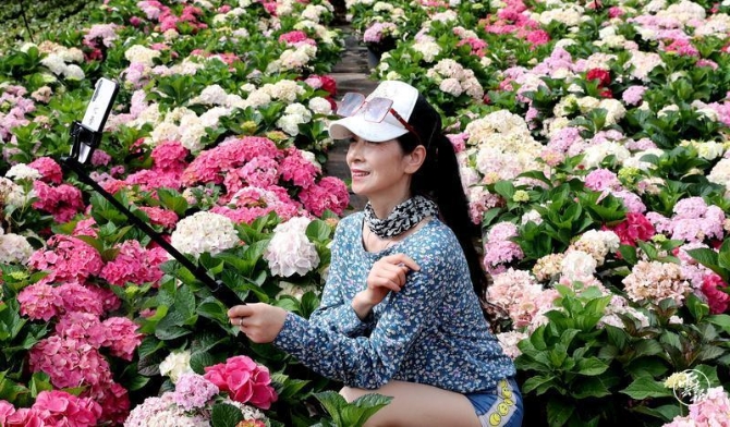 code_ynrb3d37811b-9388-4f18-b042-720ee6c07d7a code_ynrb3d37811b-9388-4f18-b042-720ee6c07d7a