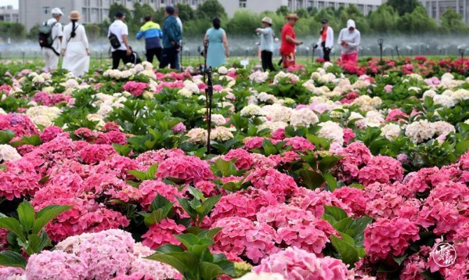 code_ynrb5b7798fc-bffb-49c2-99fa-558b49b22522 code_ynrb5b7798fc-bffb-49c2-99fa-558b49b22522