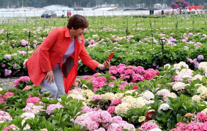 code_ynrb09ebae19-c1cf-4932-98b2-b7adb023a0ae code_ynrb09ebae19-c1cf-4932-98b2-b7adb023a0ae