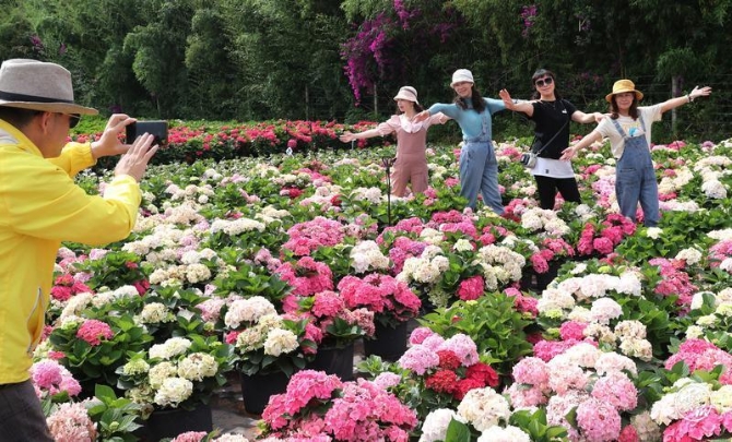 code_ynrb94edb470-aaa9-400f-9ad2-13b5a8e600c2 code_ynrb94edb470-aaa9-400f-9ad2-13b5a8e600c2