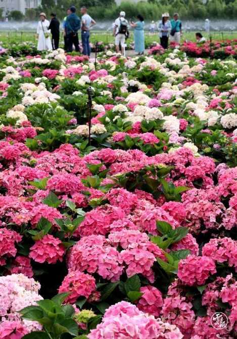 code_ynrb3218b7a9-30f8-4834-8f5d-1d55fb97d660 code_ynrb3218b7a9-30f8-4834-8f5d-1d55fb97d660