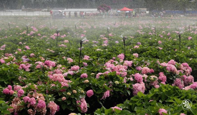 code_ynrba8e72945-4488-44ec-b8f3-d864a0137017 code_ynrba8e72945-4488-44ec-b8f3-d864a0137017