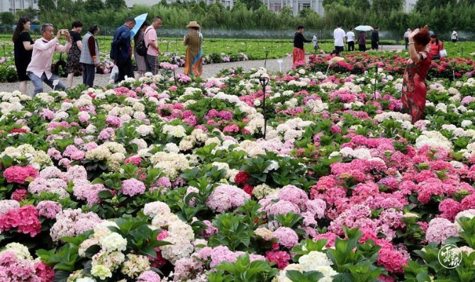 code_ynrbeef0cbc4-5f71-4728-b21e-80c5c90aff26 code_ynrbeef0cbc4-5f71-4728-b21e-80c5c90aff26