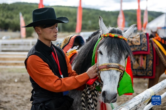 1128711736_16542537262091n