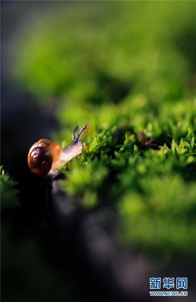 1310615330_16545076551441n