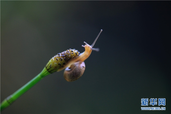 1310615330_16545076552881n