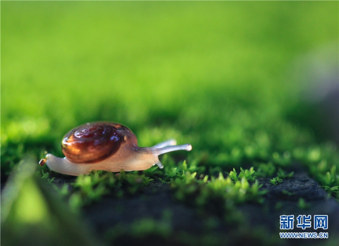 1310615330_16545076555611n