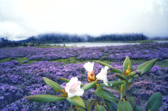 1f51c188-6d1a-496e-967c-0a18a87cd351