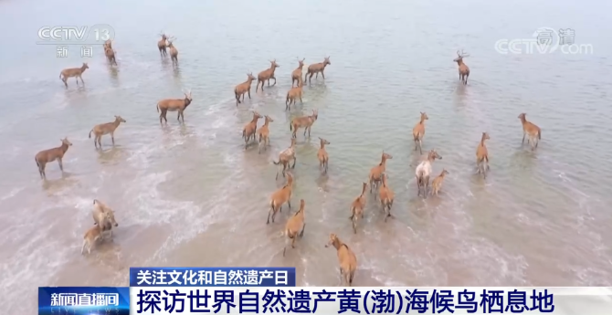6686体育