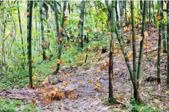 WeChat 截圖_20220612093441