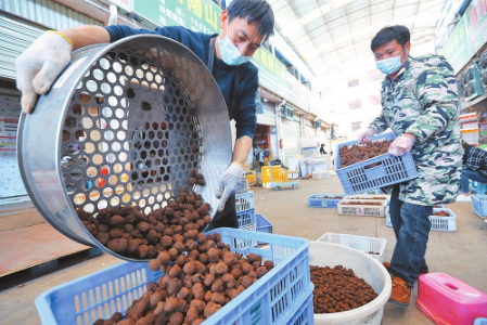 WeChat 截圖_20220612102434