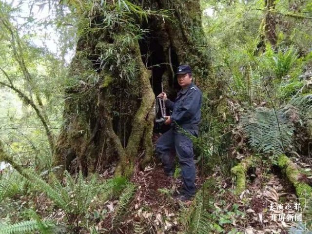 怒江石月亮边境派出所走访宣传入民心 群众主动缴枪支