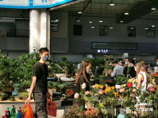 开屏观察｜昆明家庭园艺日渐风靡，养花不再是老人“专利”（开屏新闻记者 李赛 摄）