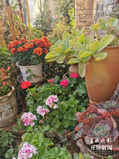 开屏观察｜昆明家庭园艺日渐风靡，养花不再是老人“专利”（开屏新闻记者 李赛 摄）