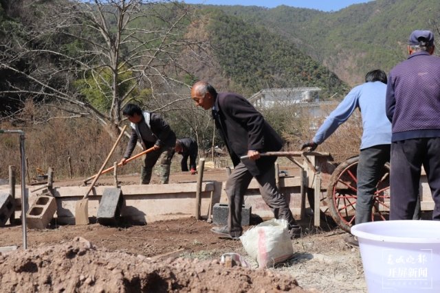 大理这十年|在巍山种下一个梦想,把这里变成柠檬之乡(开屏新闻记者 杨维琦 摄)