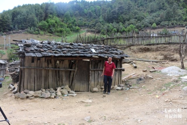 大理这十年|在巍山种下一个梦想,把这里变成柠檬之乡(开屏新闻记者 杨维琦 摄)