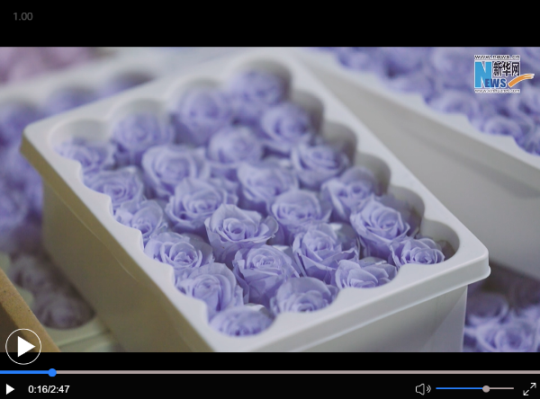 QQ截图20220617165400 QQ截图20220617165400