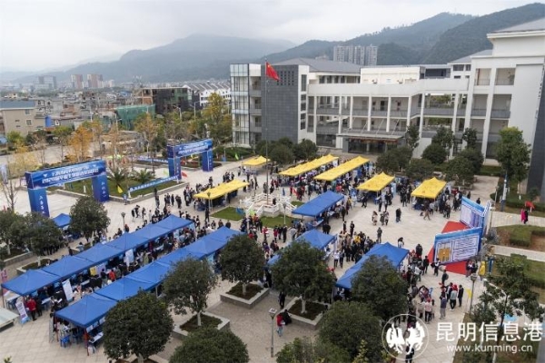 10云南水利水电职业技术学院 10云南水利水电职业技术学院