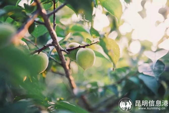 微信图片_20220628101701