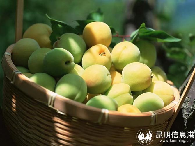 微信图片_20220628101656