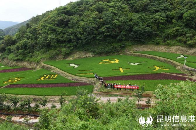 微信图片_20220630141621 微信图片_20220630141621