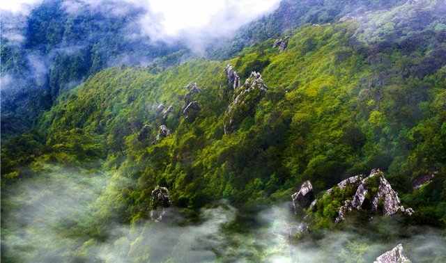 （苍山 杨继培 摄影）.jpg