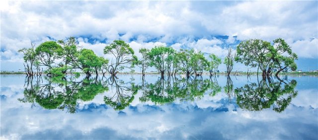 鹤庆黄龙潭 赵旭 摄影.jpg