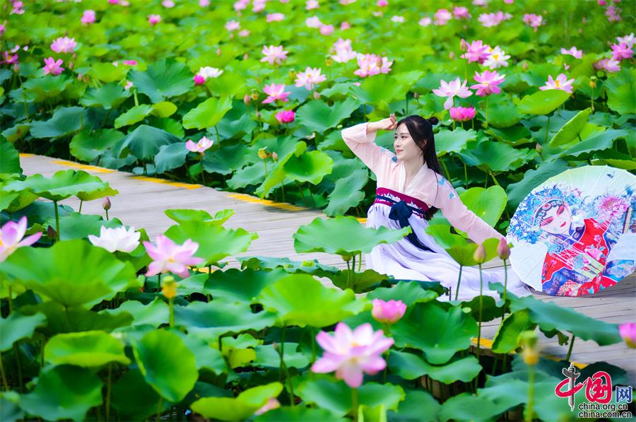 eae07483-6566-46ab-b347-7a817d2fe4af_batchwm