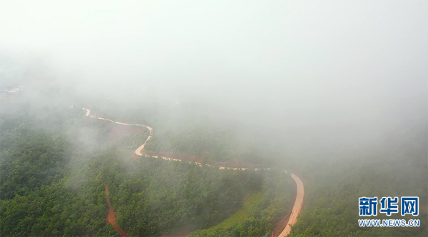 1310648158_16592338782321n 1310648158_16592338782321n