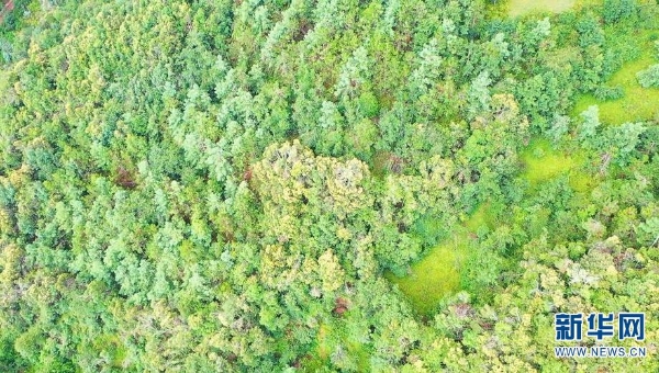 1310648158_16592338782481n 1310648158_16592338782481n